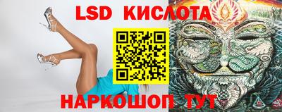 тгк Кингисепп