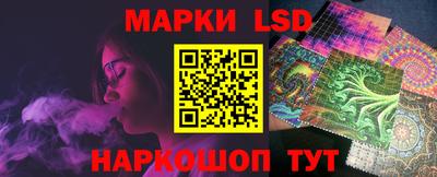 тгк Кингисепп