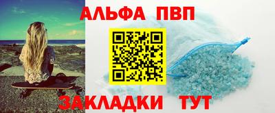 тгк Кингисепп