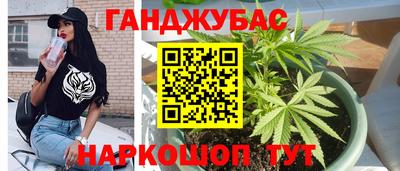 тгк Кингисепп
