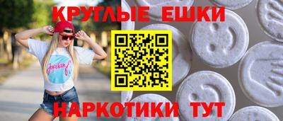 тгк Кингисепп
