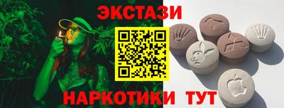 тгк Кингисепп