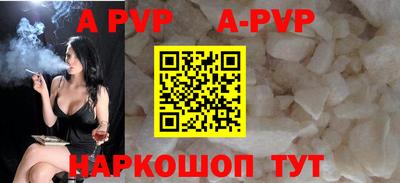 тгк Кингисепп