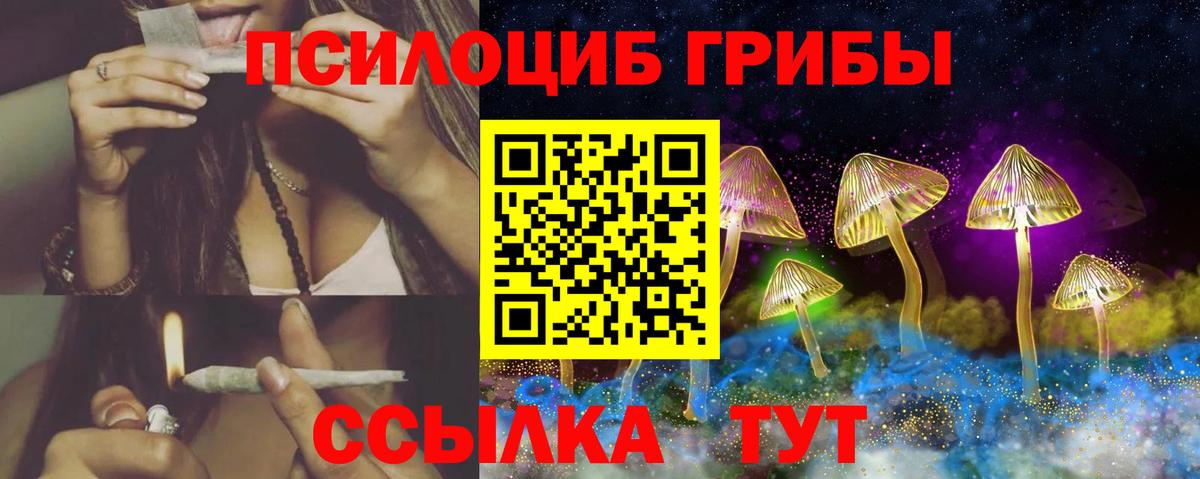Людиново  Псилоцибиновые грибы Magic Shrooms  Вход с VPN  Псилоцибиновые грибы Psilocybe 